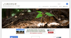 Desktop Screenshot of norikistudio.com